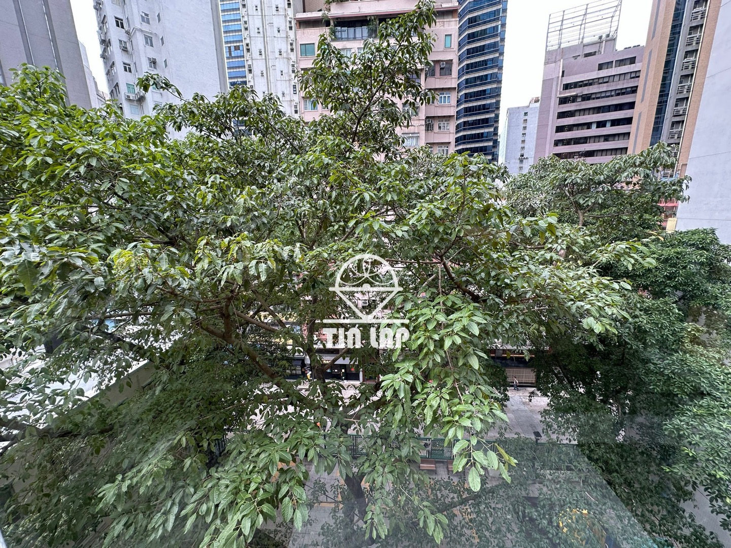 歌賦街開放式單位相片 10