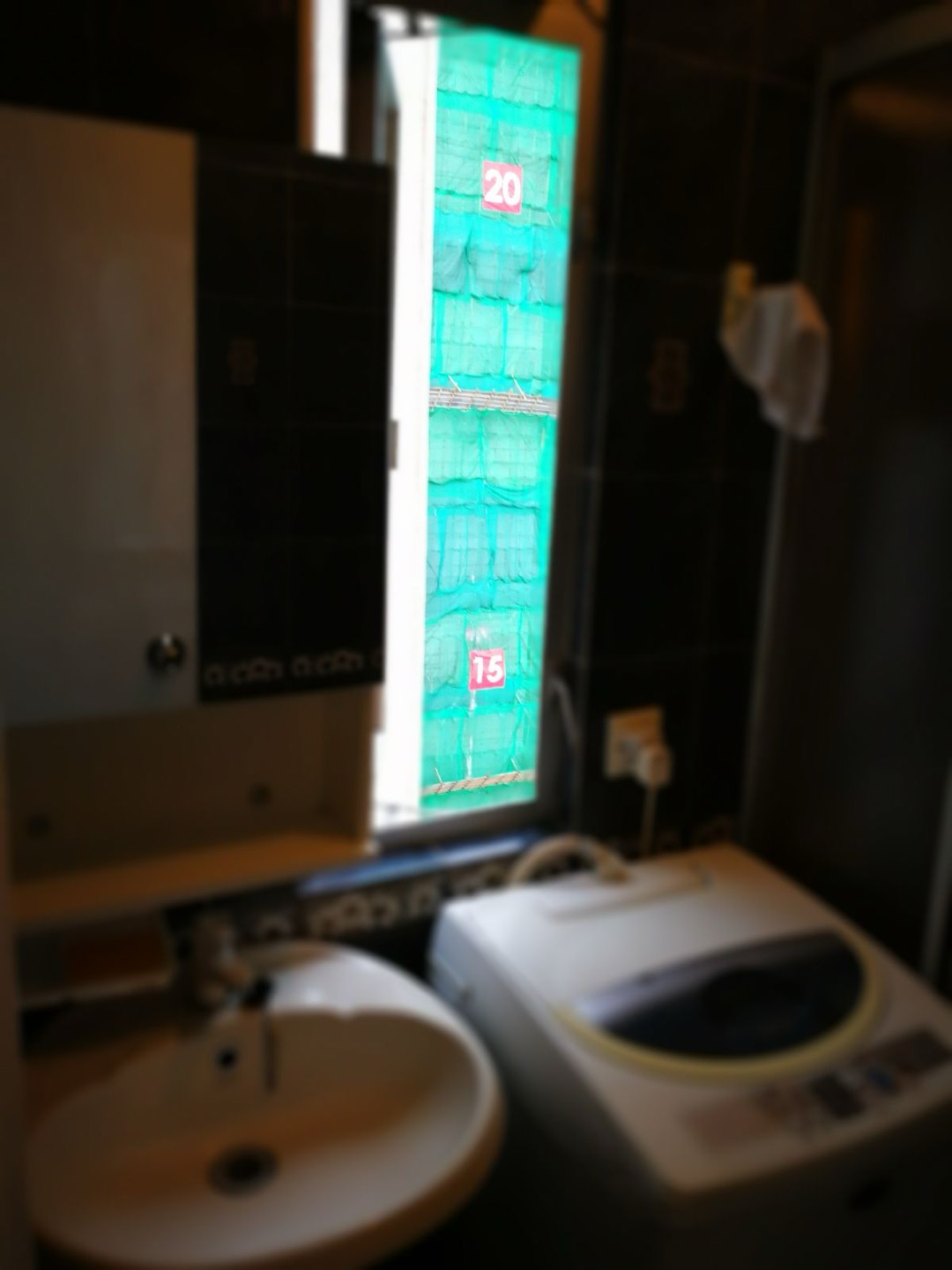 Sea View Mansion兩房單位相片 9