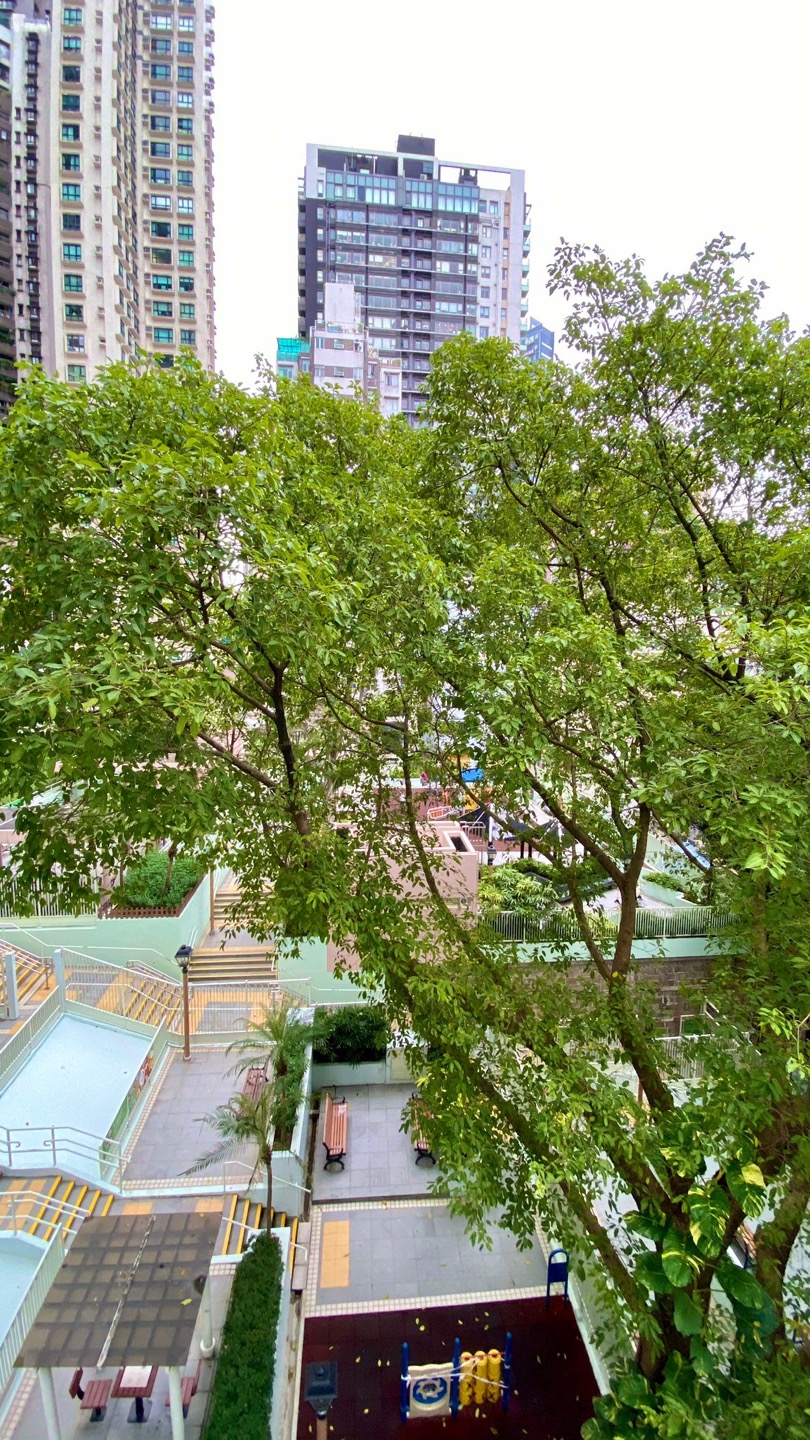 Chung Hing Court一房單位相片 4
