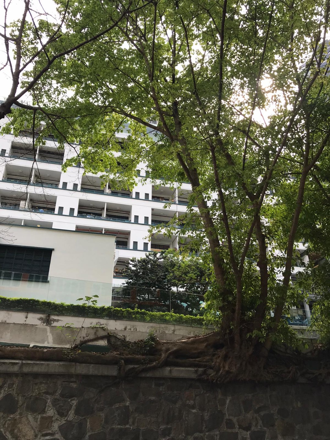 荷李活道開放式單位相片 7