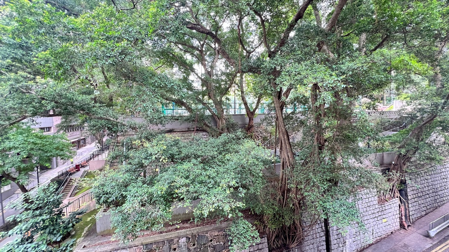 東邊街一房單位相片 5