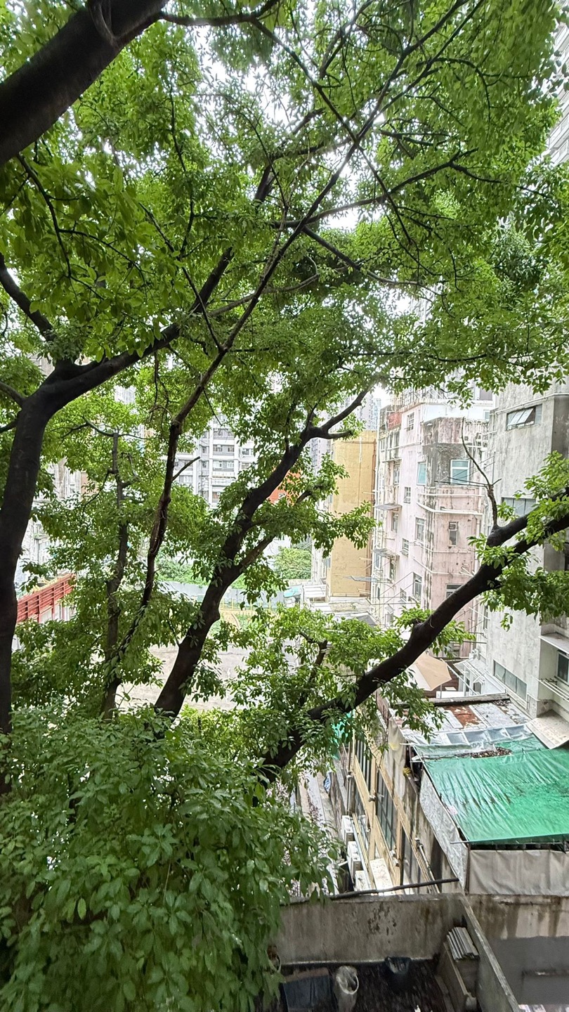 東邊街一房單位相片 7
