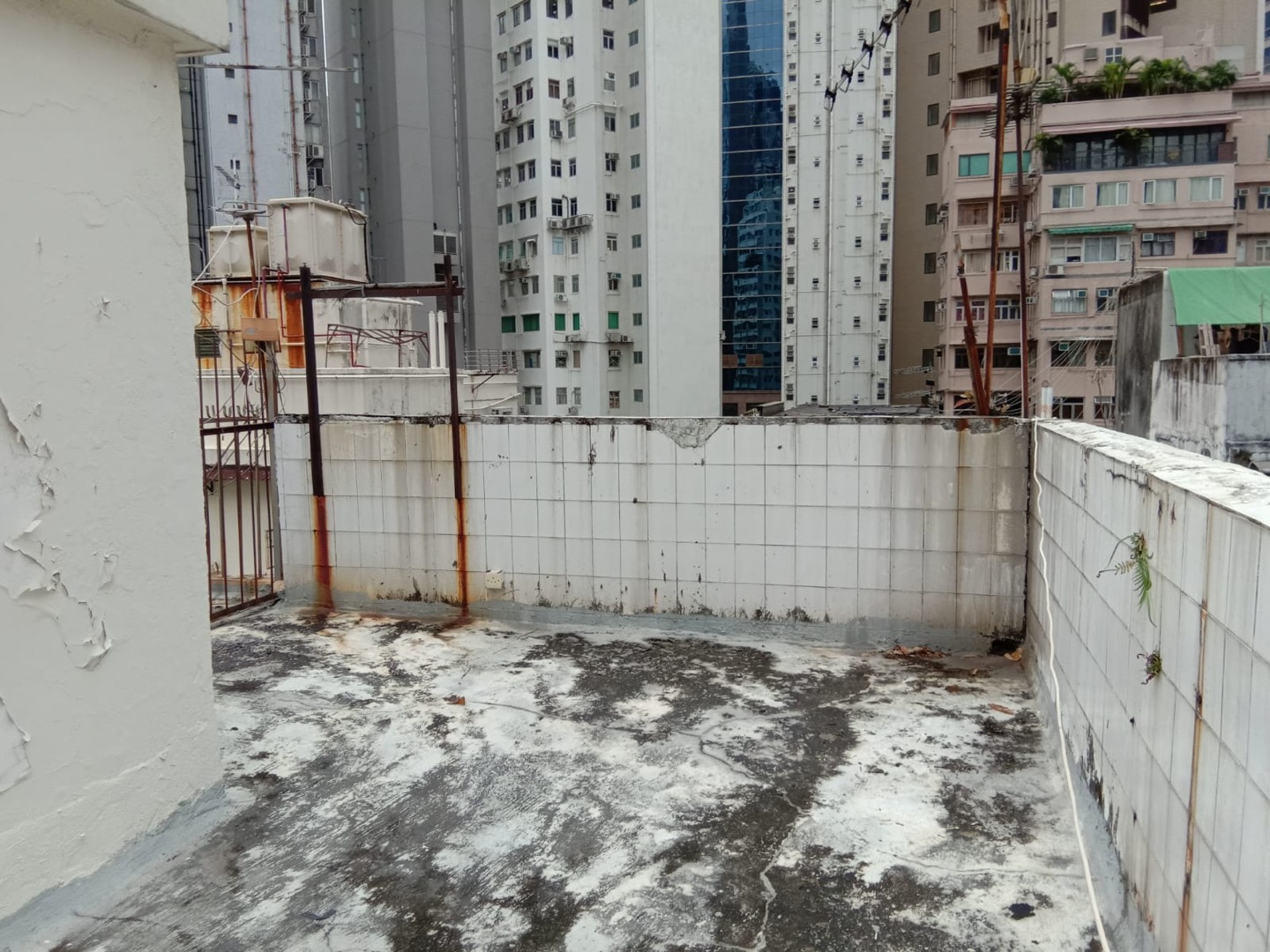 歌賦街兩房單位相片 8