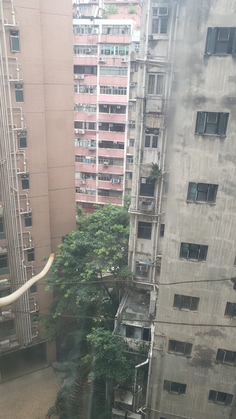 Ha Lung Building開放式單位相片 4