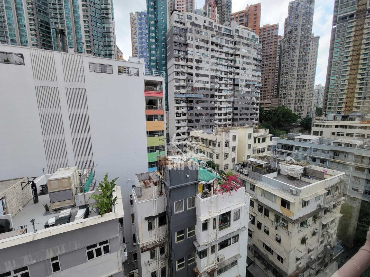 Tai Hing Building兩房單位相片 6