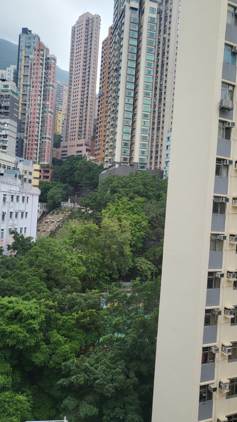Universal Building一房單位相片 4