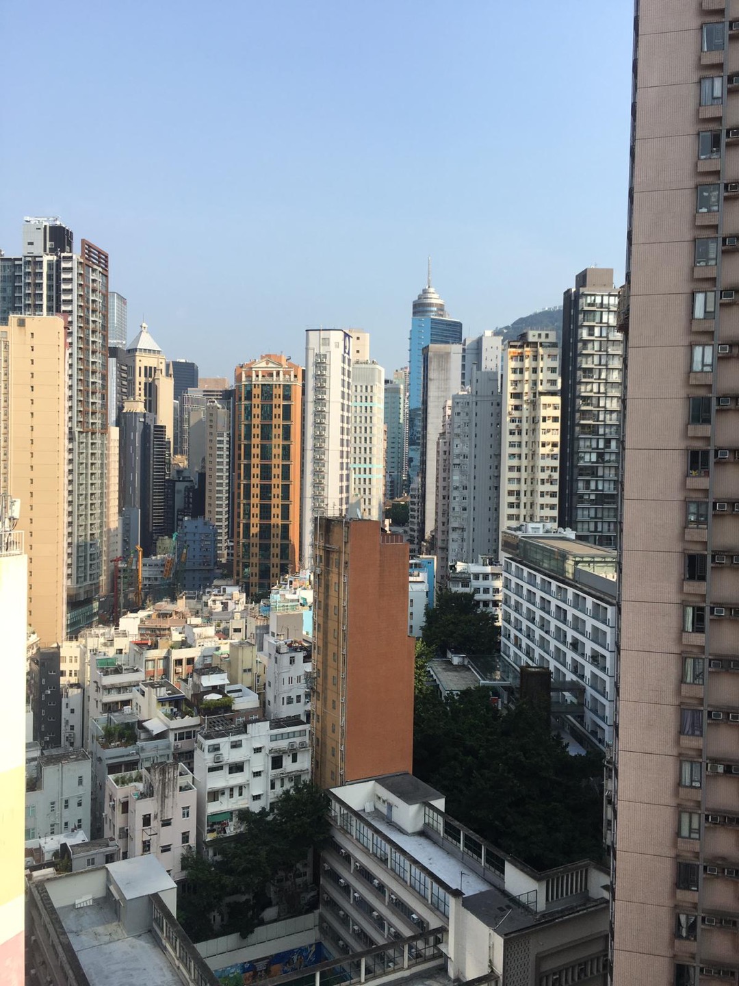 Manhattan Avenue兩房單位相片 10