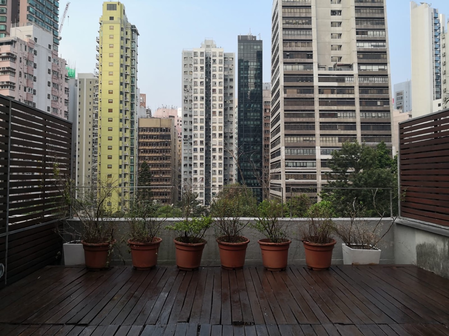 荷李活道開放式單位相片 3