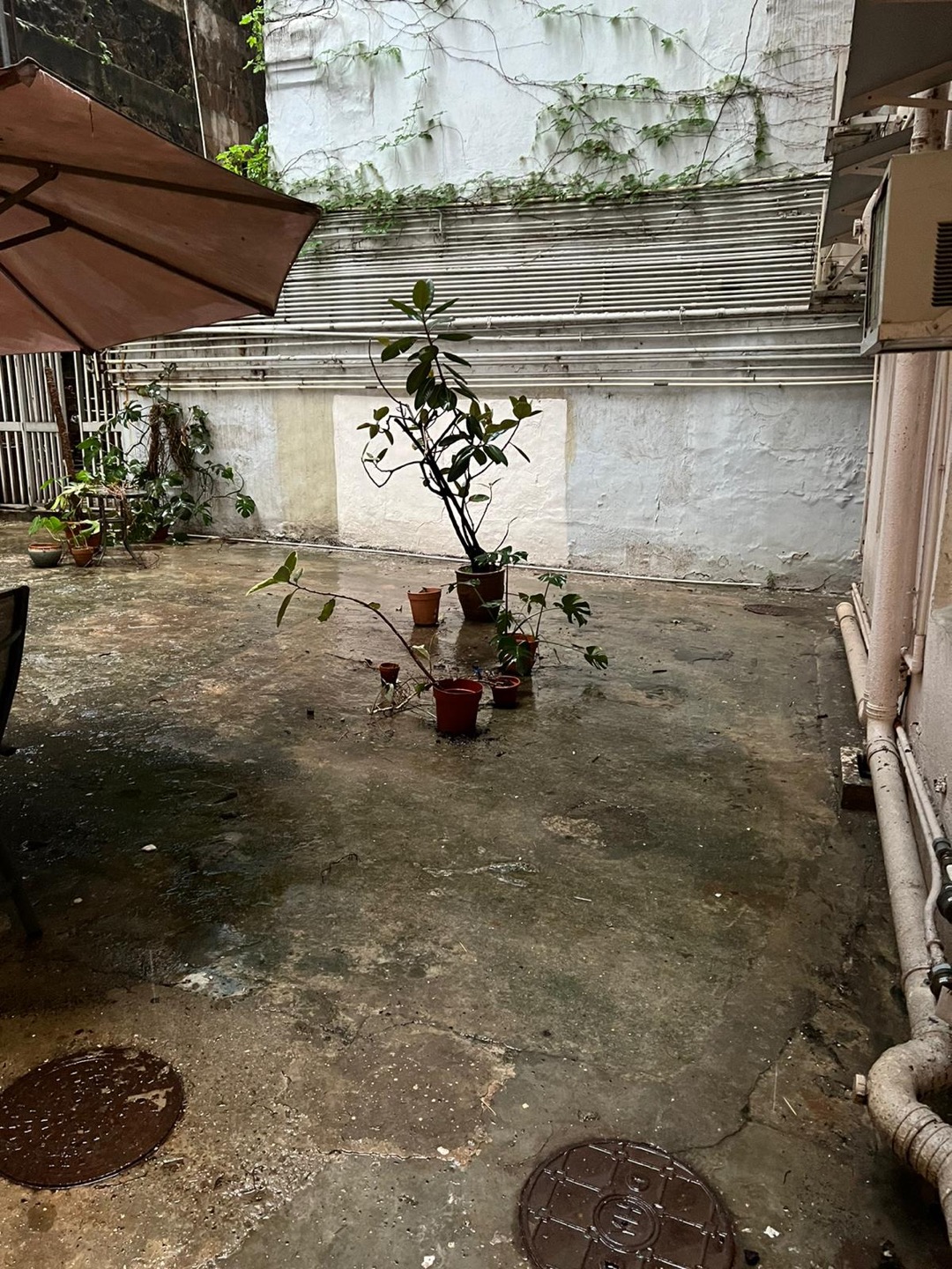 Caineway Mansion兩房單位相片 4