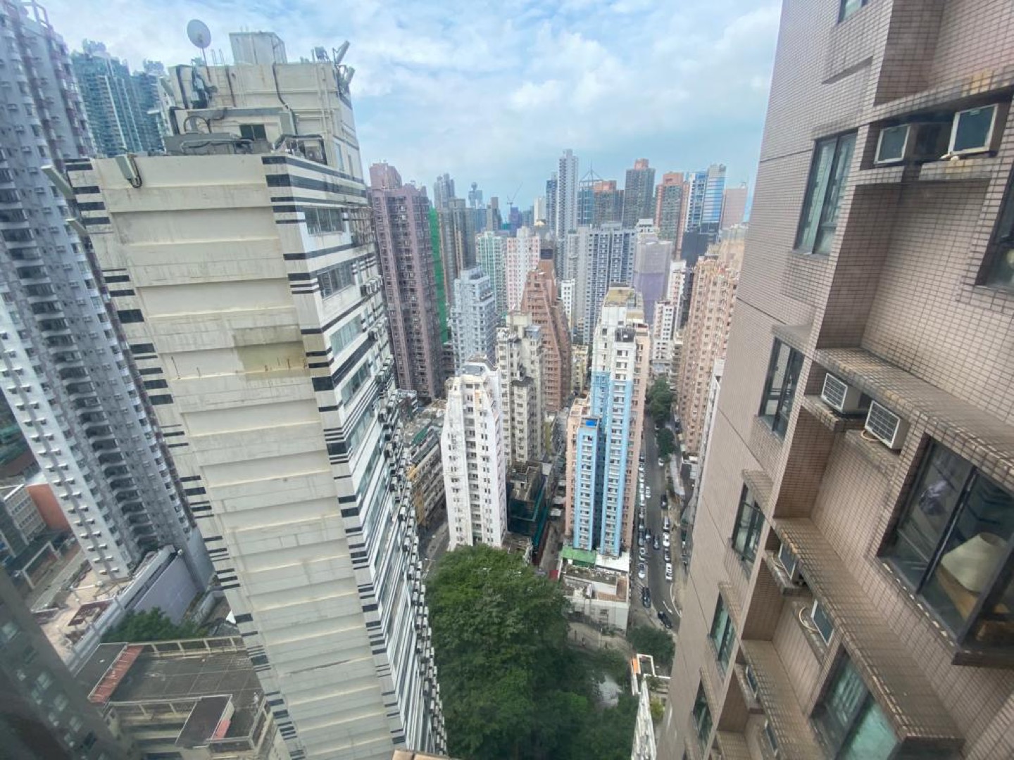 Hollywood Terrace兩房單位相片 10